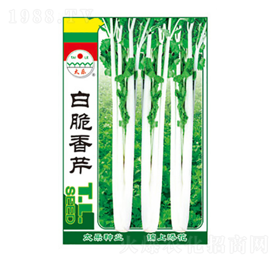 �״�����-̫���N�I(y��)