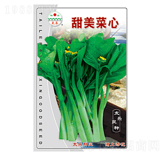 ��������-̫��(l��)�N�I(y��)