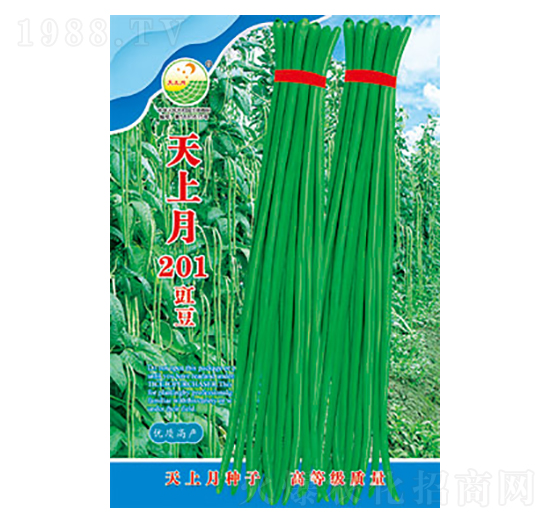 �����N��-������201-̫���N�I(y��)