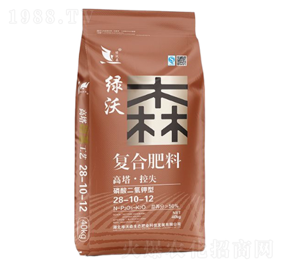 ���������͏�(f��)�Ϸ���28-10-12-�G��ɭ