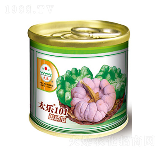 �����ϷN��-̫��101-̫���N�I(y��)