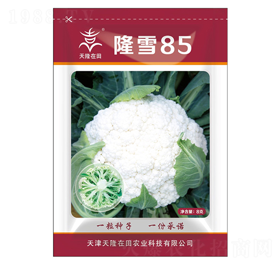 ¡ѩ85-��¡����-��¡�r(n��ng)�I(y��)