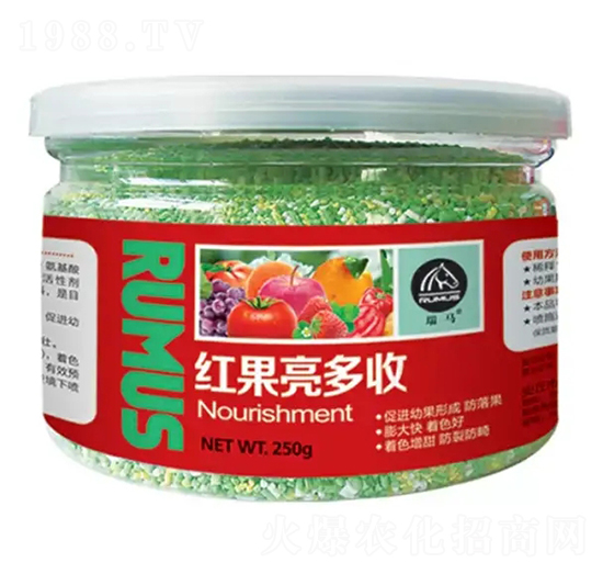 �t��������-�̶�����