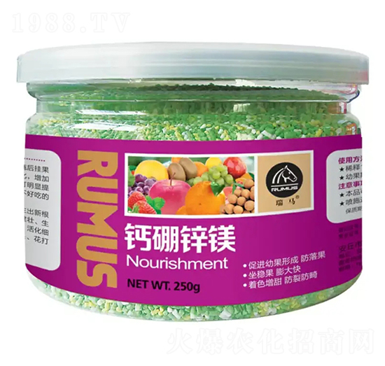 �}���\�V-�̶�����