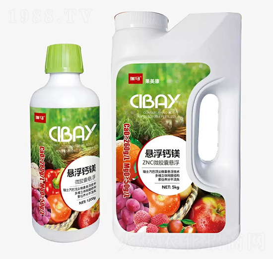 ZNC΢�z�ґҸ��}�V-������-�̶�����