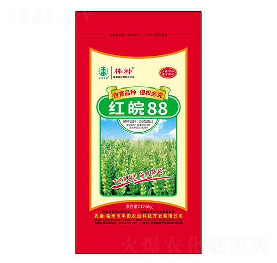 �t��88С���N��-����-�S���r(n��ng)�I(y��)