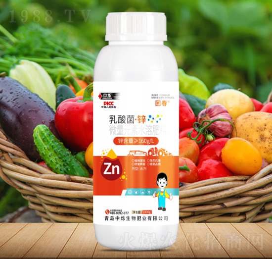 ��������\-�ش�-�Рq����