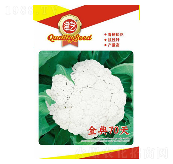 ���˷N��-���70��-���S�r�I(y��)