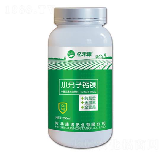 С�����}�V-�|�̿�-���Z�ʘI(y��)