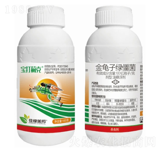 100�|����/�˽����ӾG�����͑Ҹ���-�����E��-�����