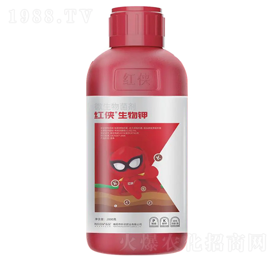 �t�b�������-���������-�����ʘI(y��)