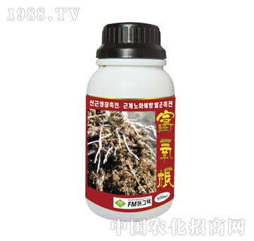 �˰�-������