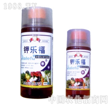 ��ɽ����-⛘���