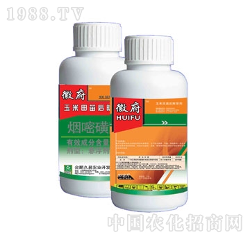 ����-�ո�