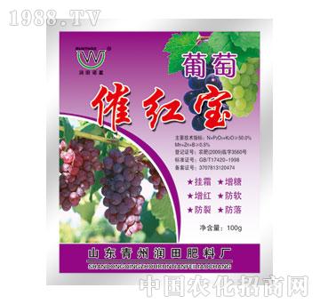 ����-���Ѵ߼t��