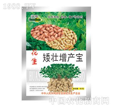 ����-�����������a(ch��n)��