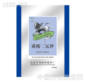 ����-��������