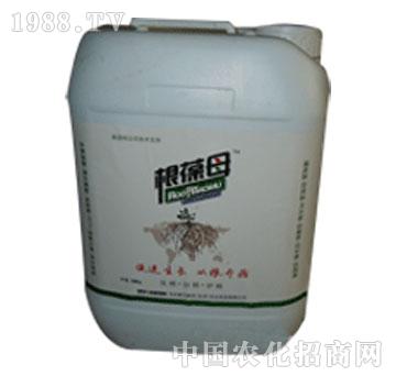 ��(��i)ؐ˹��-����ĸ