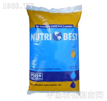 ���֐�ؐ˹��-�R��˹��20-20-20+TE