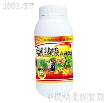 ��(r��n)��-��������}��