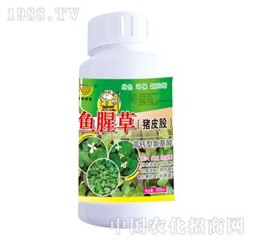 ����-�~�Ȳ�