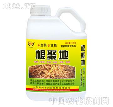 ����-���۵�