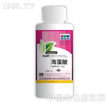 �µص�-������