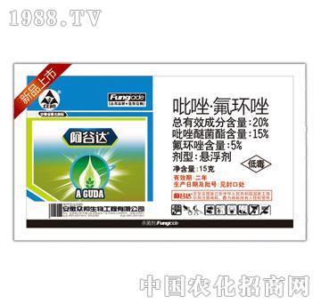 20%������h(hu��n)��-����