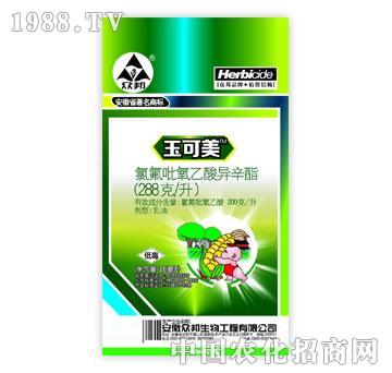 ����-�����-�ȷ�����