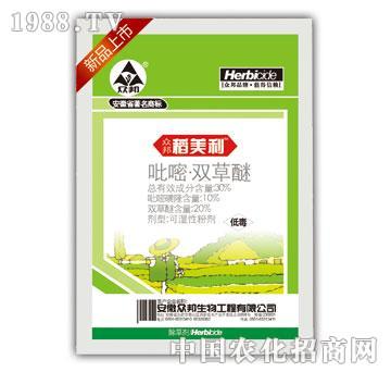 30%�����p����-����