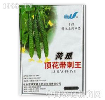 �G��-�S��픻�������