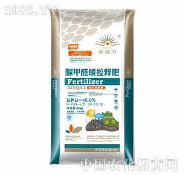 �������ȩ����ጷ�26-10-10