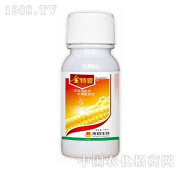 ���ع�-̩�