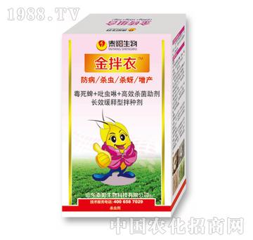 �����-̩�