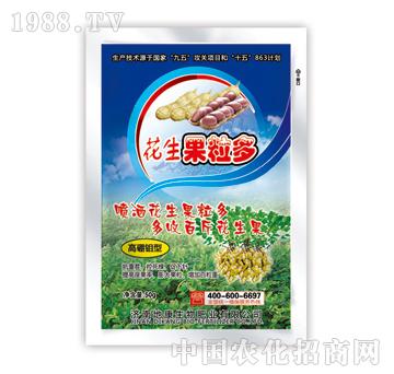 �����w����-̩�