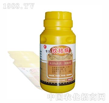 ��(zhu��n)��-�y�ݲ�-�����r(n��ng)��