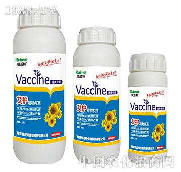 ���oֲ�������Ϳ�����-�J�~��