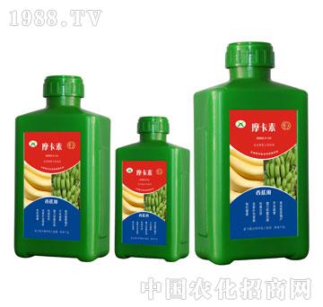 �㽶���ð���������Һ��