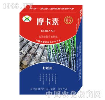 ���ጣ�ð���������Һ��