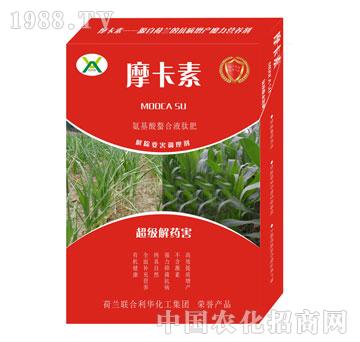 ������ˎ������������Һ