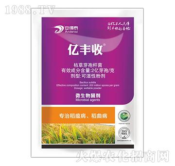 ���ε�����������-�|�S��-����̩