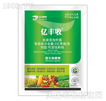 ΢�������-�|�S��-����̩