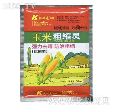 ���״ֿs�`-�P���