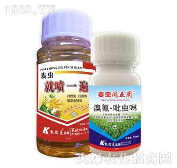 ���x�͇�һ��+���x�e����-�P���