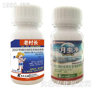 ����x���Ͷ���w����-�ϴ��L(zh��ng)+һ�_��-�P���