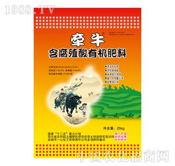 ����ֳ���ЙC(j��)����-��ţ-һ�Ļ���