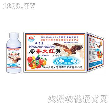 400g�����tӢ-�挚�r��