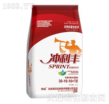 �_���S-�ߵ���30-10-10+TE-�c��