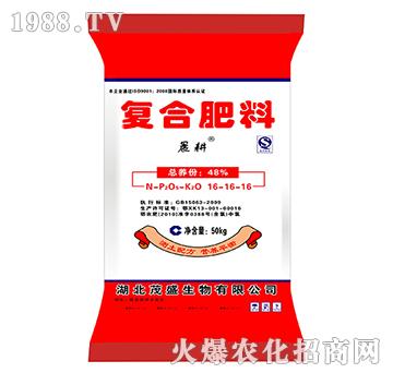 ��(f��)�Ϸ���16-16-16-����-ïʢ