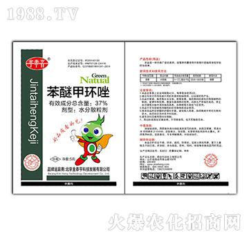 37%���Ѽ׭h(hu��n)��-��̩